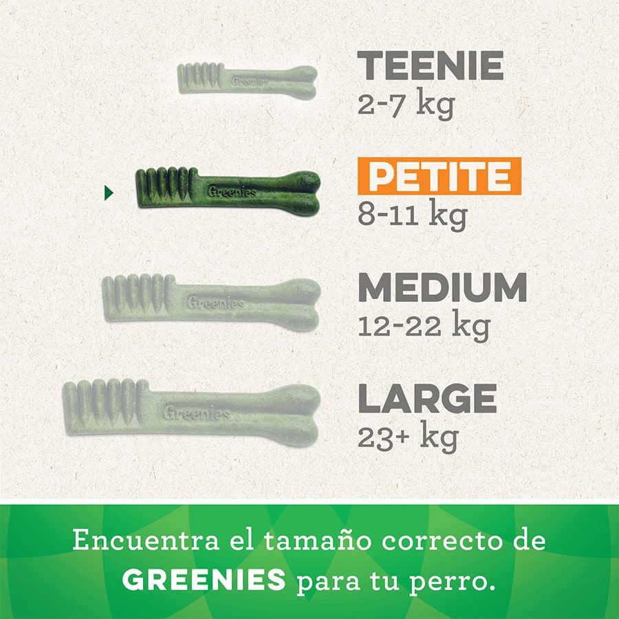 20 barritas Greenies Petite Snacks Dentales Naturales para perros peque&ntilde;os, , large Imagen numero 2